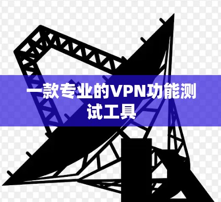 一款专业的VPN功能测试工具