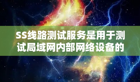 SS线路测试服务是用于测试局域网内部网络设备的连接性、网络性能和可靠性。以下是详细的步骤和关键点
