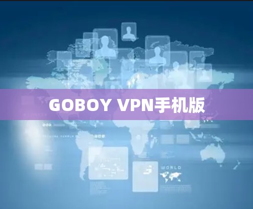 GOBOY VPN手机版