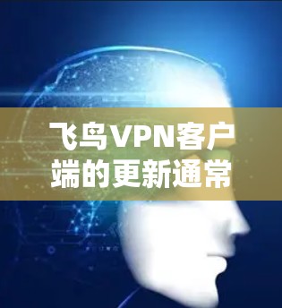 飞鸟VPN客户端的更新通常包括软件升级、功能增强、性能优化和安全增强等方面。以下是基于用户问题的逐步总结和信息整理