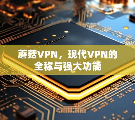 蘑菇VPN，现代VPN的全称与强大功能