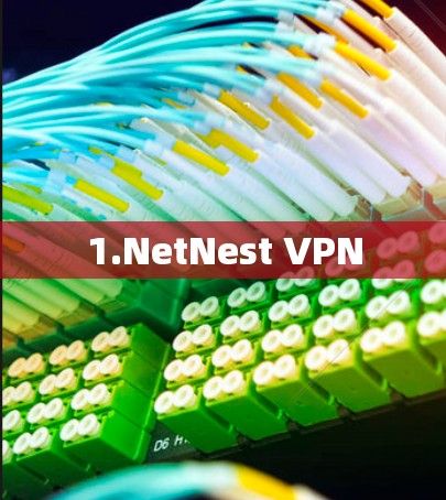 1.NetNest VPN