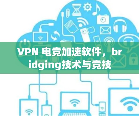 VPN 电竞加速软件，bridging技术与竞技